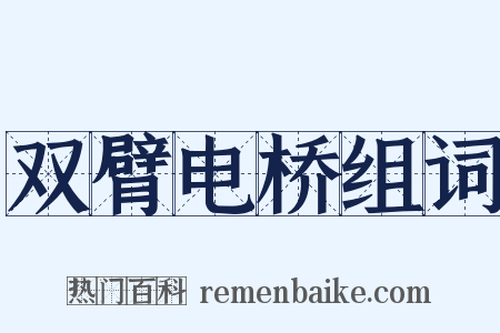 双臂电桥组词是什么意思的图片
